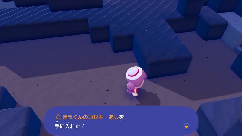 ぼうくんのカセキ・あし入手2