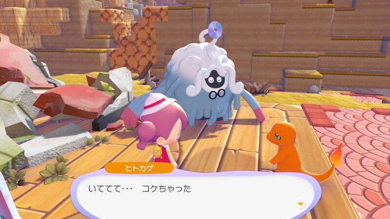 ヒトカゲを連れて行こう！13