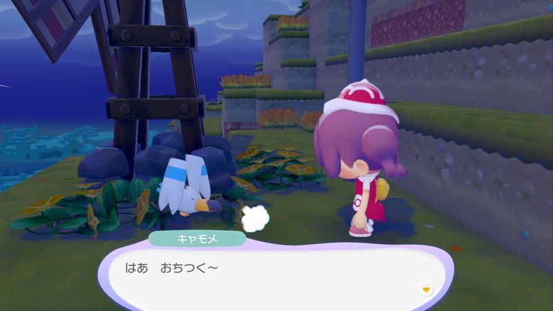 キャモメ出会い1
