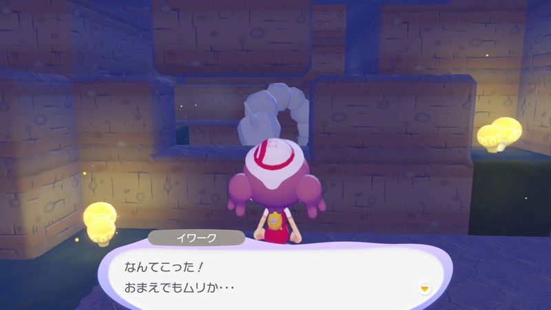 洞窟を　調べよう！16