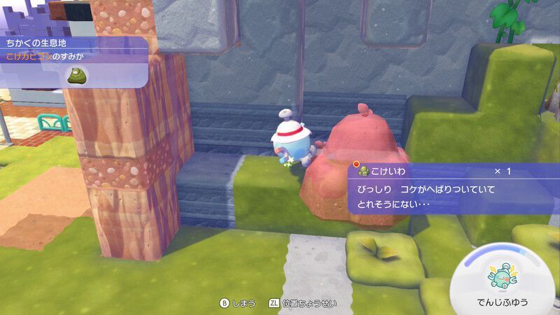 こけいわ入手
