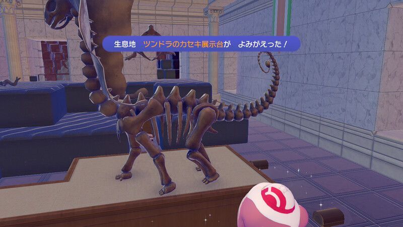 ツンドラのカセキ展示台作成