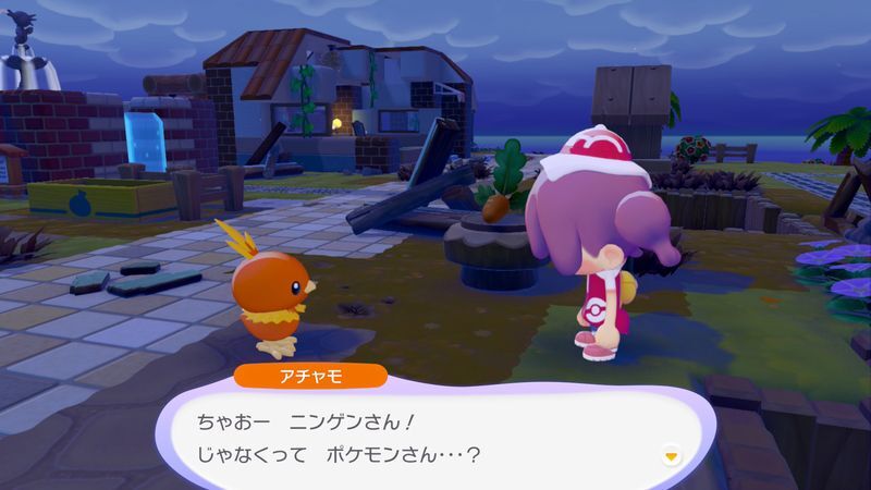 アチャモ出会い2
