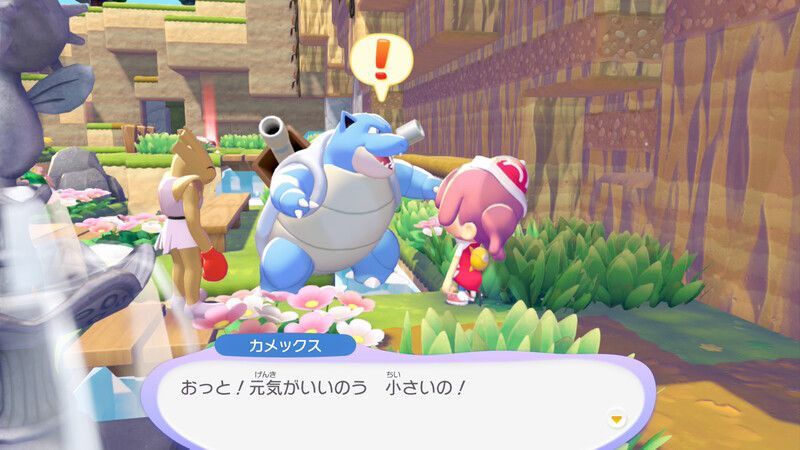 カメックス出会い1