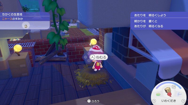すみかを明るくしよう！12