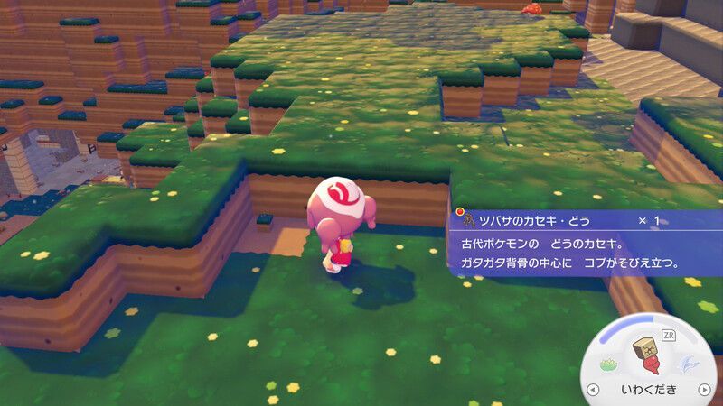 ツバサのカセキ・どう入手2