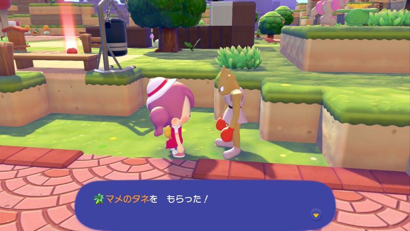 マメを育てよう！5