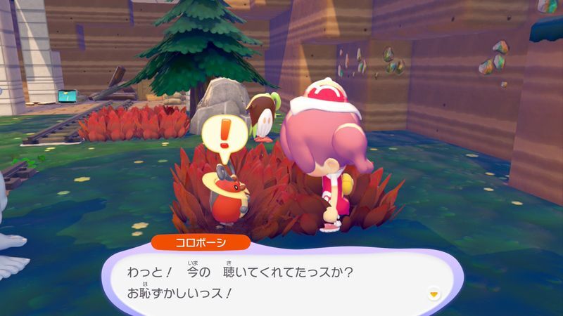 コロボーシ出会い3