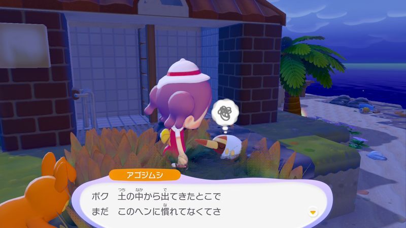アゴジムシ出会い3