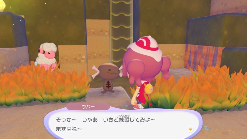 トマトをあげよう！20