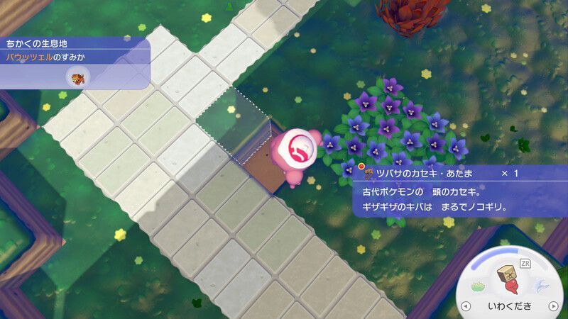 ツバサのカセキ・あたま入手2