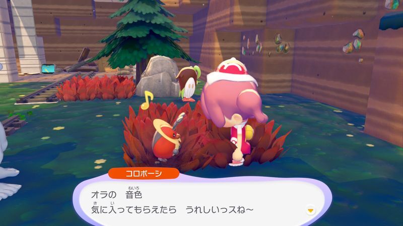 コロボーシ出会い4