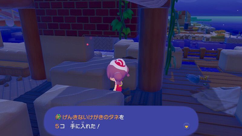 げんきないけがきのタネ入手2