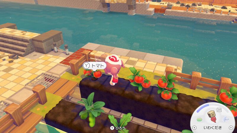 トマトをあげよう！8