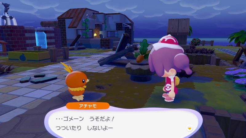 アチャモ出会い4