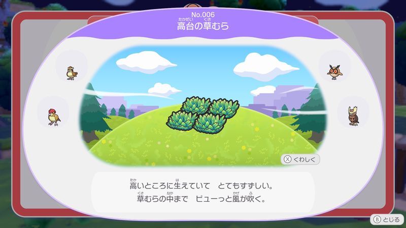 高台の草むら