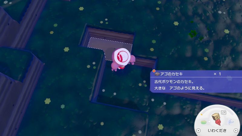 アゴのカセキ入手2