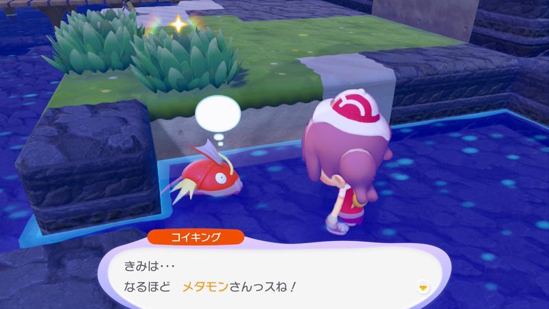 コイキング出会い3