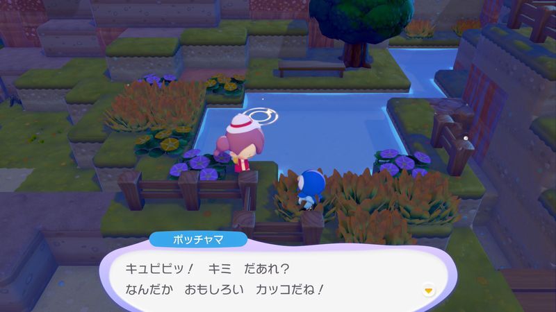 ポッチャマ出会い1