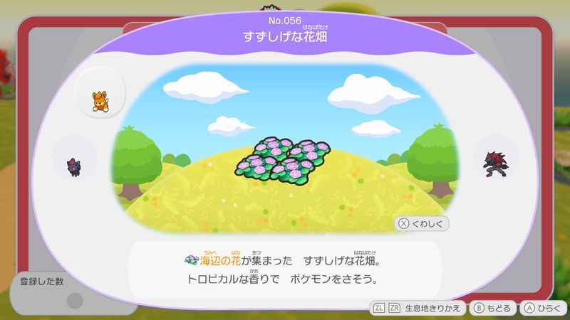 すずしげな花畑