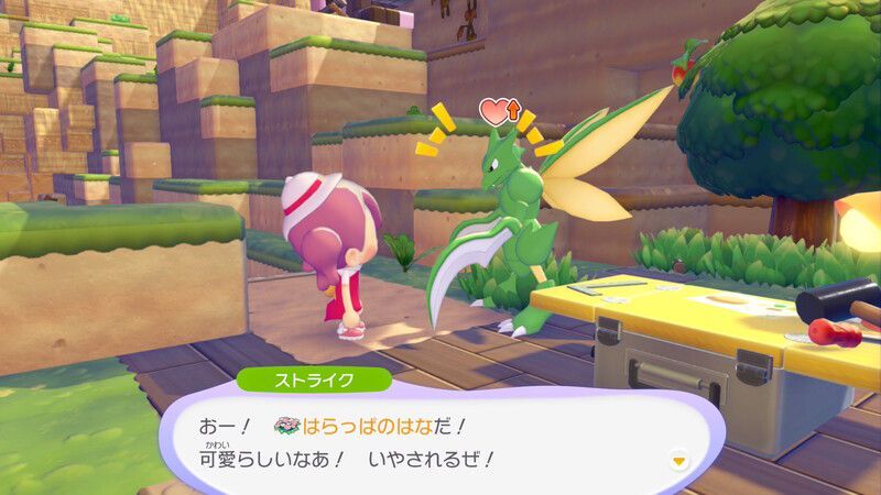 はらっぱのはなをあげよう！13