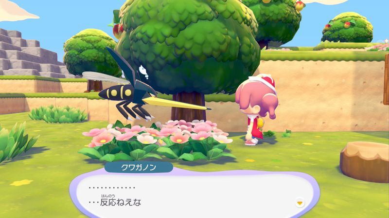 クワガノン出会い4
