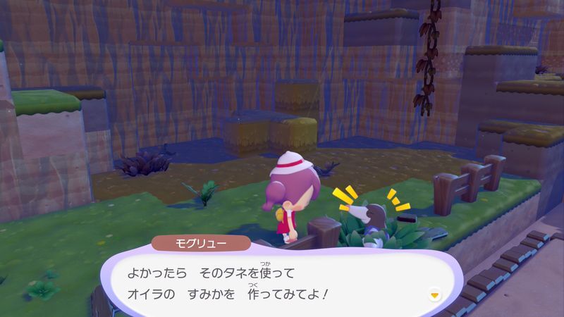 すみかを作っててあげよう！（モグリュー）11