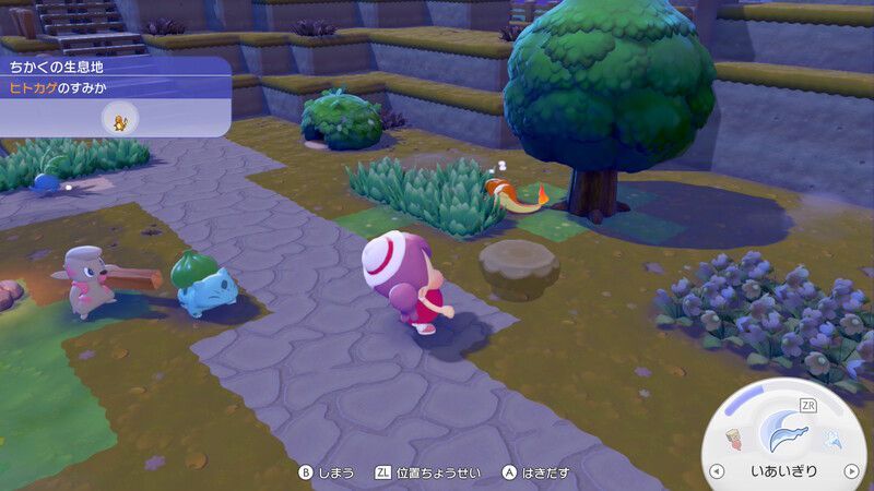 まるたのテーブルを置こう！5