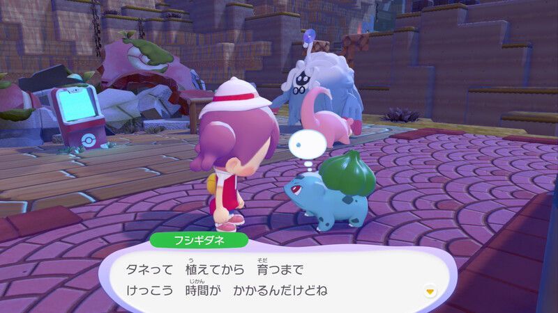 周りの木に水をあげよう！10