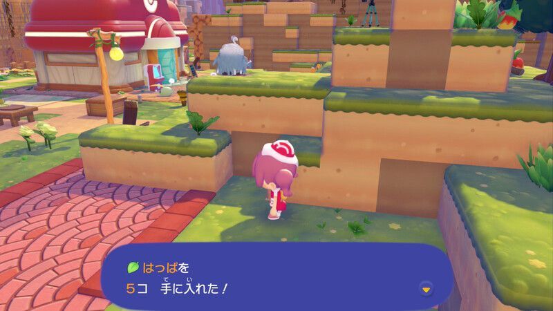 はっぱ入手4