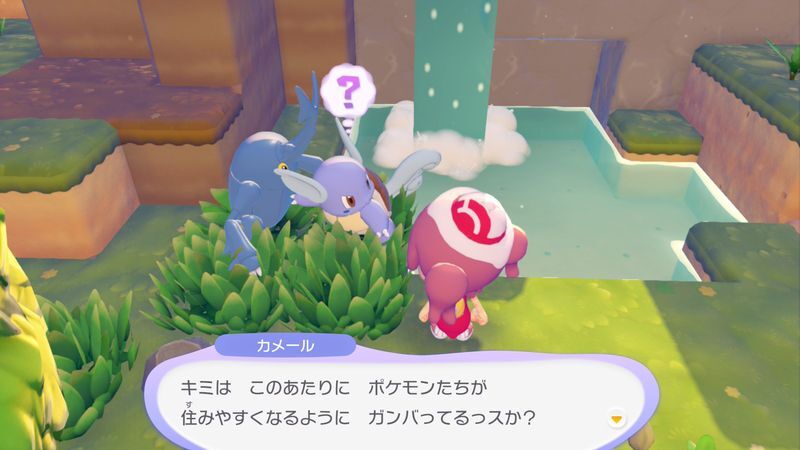 カメール出会い2