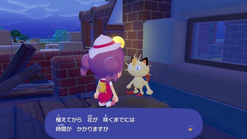 プランターで花を咲かせよう！24