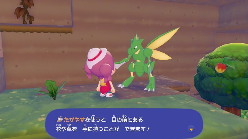 はらっぱのはなをあげよう！7