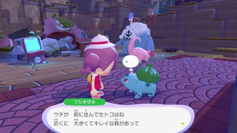 周りの木に水をあげよう！3