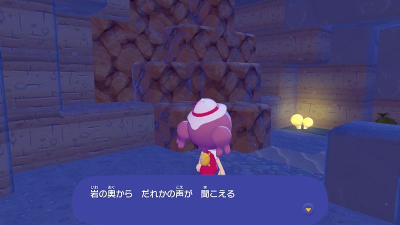 洞窟を　調べよう！10