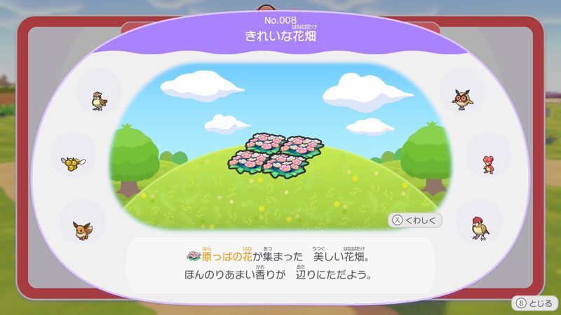 きれいな花畑