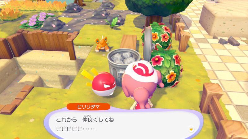 ビリリダマ出会い4