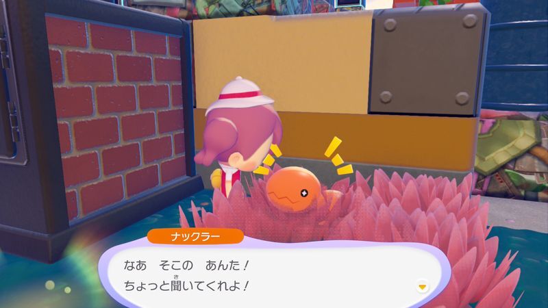 ナックラー出会い1