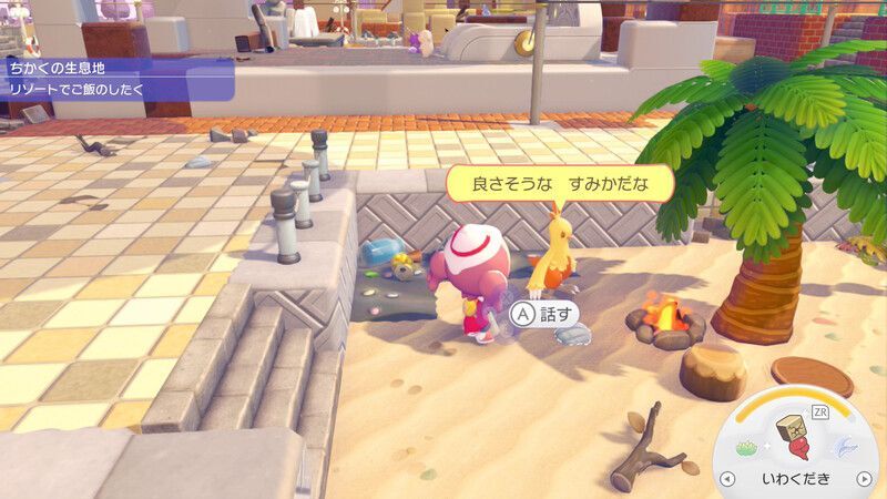 ワカシャモ出会い1