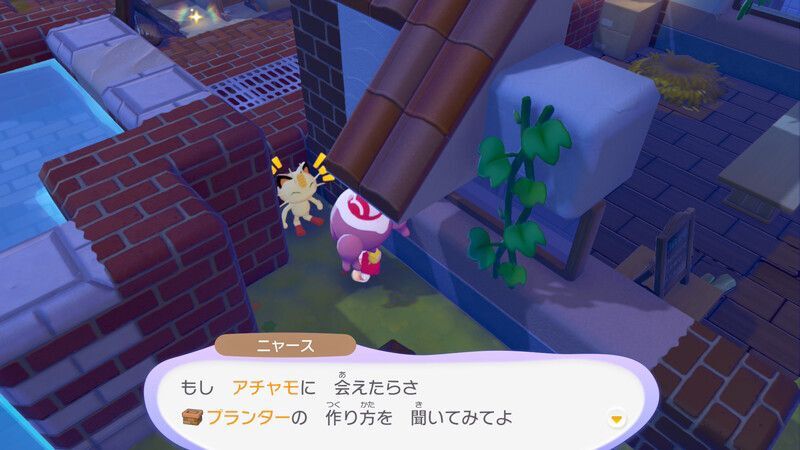 プランターで花を咲かせよう！15
