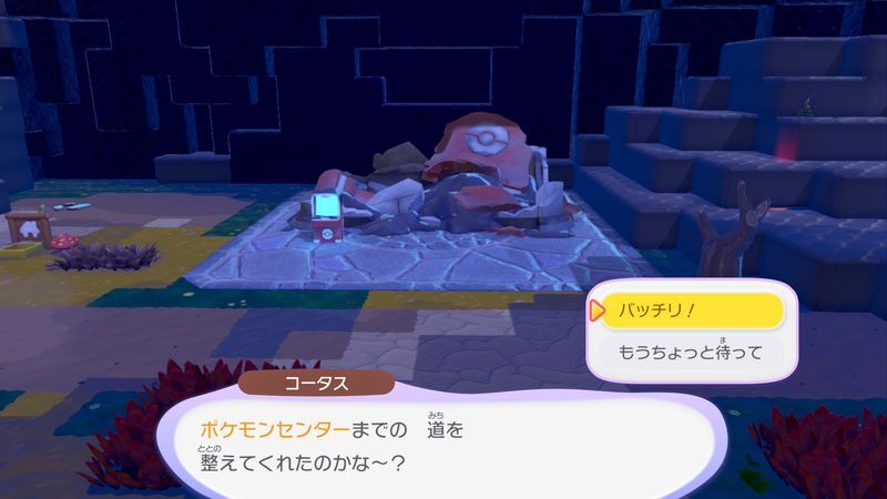 道をキレイにしよう！（やま）13