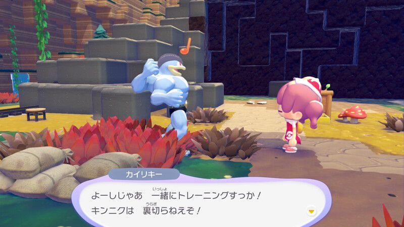 カイリキー出会い6