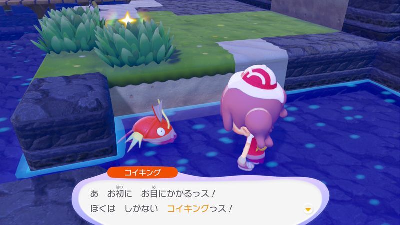 コイキング出会い2