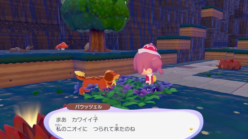 バウッツェル出会い1
