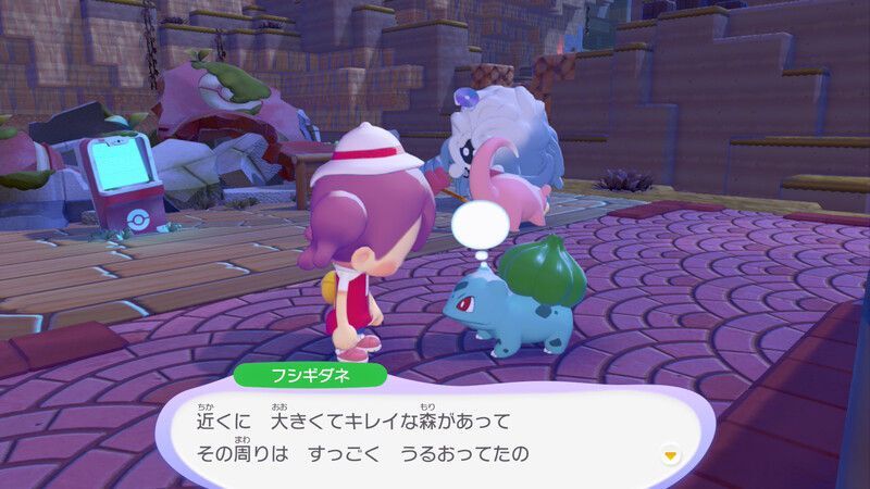周りの木に水をあげよう！4