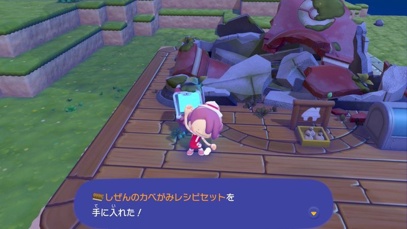 しぜんのカベがみレシピセット入手