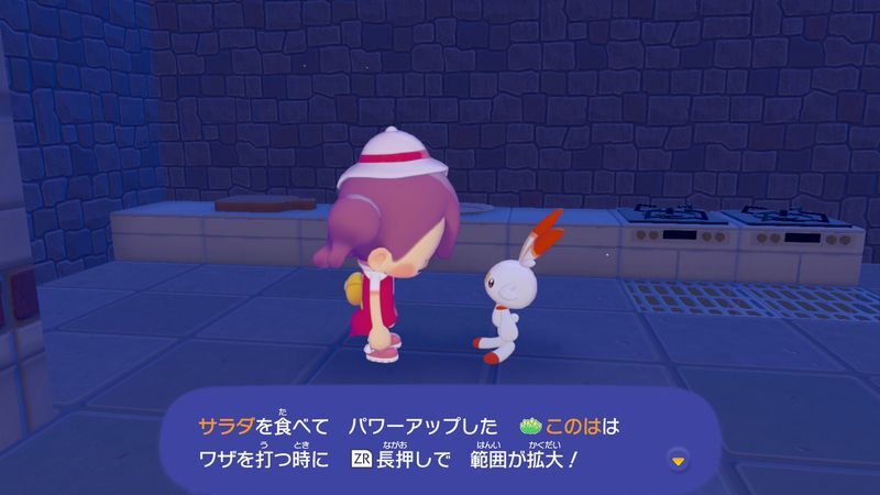 サラダを作ろう！19