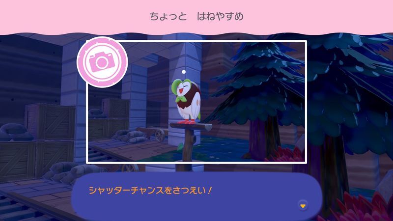 ちょっと　はねやすめ
