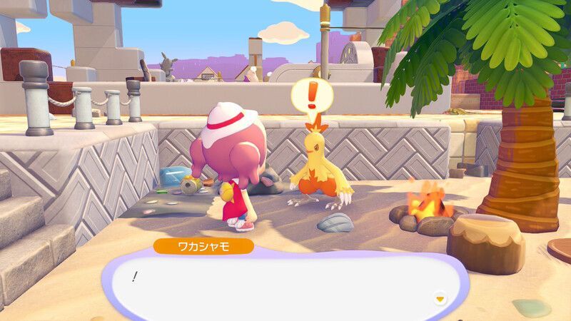 ワカシャモ出会い4