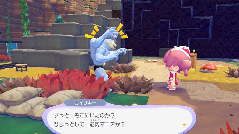 カイリキー出会い5